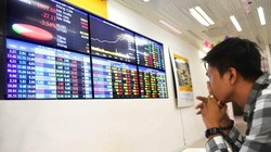 Ảnh minh hoạ (Nguồn: Internet)