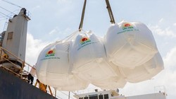 Tập đoàn Lộc Trời: Xuất khẩu gạo năm 2021 đạt 80.000 tấn, cao gấp 4 lần so với năm 2020