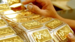 Những doanh nhân tuổi Nhâm Dần thành danh