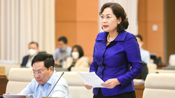 Thống đốc NHNN Nguyễn Thị Hồng báo cáo tại phiên họp của Ủy ban Thường vụ Quốc hội 