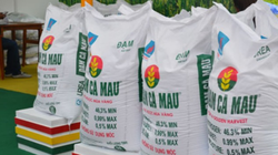 Một cổ phiếu phân bón được khối ngoại mua ròng 10 tháng liên tiếp 