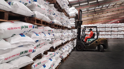 Đạm Phú Mỹ (DPM) chi trả cổ tức đợt 2/2021