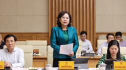 Thống đốc Nguyễn Thị Hồng phát biểu tại phiên thảo luận về kinh tế vĩ mô của Chính phủ hôm 30/7 (Ảnh: VGP)