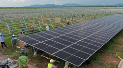 Các công ty điện mặt trời của Tập đoàn Xuân Thiện kinh doanh ra sao trong năm đầu tiên vận hành?