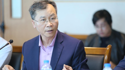 Chuyên gia kinh tế TS. Vũ Đình Ánh