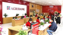 Agribank tặng hàng trăm phần quà trị giá hơn 1,8 tỉ đồng cho khách hàng là tân sinh viên