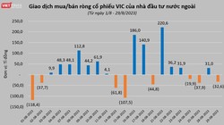 Trợ lực của cổ phiếu VIC