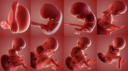 Nguyên nhân gây nên dị tật bẩm sinh hiếm gặp ở trẻ em