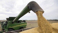 Trung Quốc đã đồng ý mua 50 tỷ USD nông sản Mỹ, hứa mua thêm 200 tỷ USD hàng hóa Mỹ trong 2 năm để đối lại Mỹ không tăng thuế vào ngày 15/12.