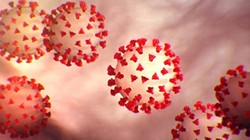 Virus Corona mới bắt nguồn từ Vũ Hán hay Trung Quốc  đang trở thành chủ đề khẩu chiến giữa hai nước Mỹ - Trung (Ảnh: CDC Mỹ).