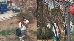 Cô gái nhập cảnh nhảy qua cửa sổ xe chạy trốn và bị khống chế (Ảnh: DF).