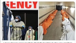 Hình ảnh về những xác chết trong thùng xe tải đăng trên trang Buzz Feet (Ảnh: Guancha).