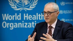Ngày 30/4, Tiến sĩ Gauden Galea, đại diện của WHO tại Trung Quốc bất ngờ lên tiếng chỉ trích Trung Quốc không cho phép WHO tham gia điều tra về nguồn gốc virus Corona mới (Ảnh: MSN).