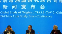 Hơn 1 tháng sau khi WHO kết thúc điều tra về nguồn gốc SARS-CoV-2, các nhà nghiên cứu quốc tế đề nghị điều tra lại mà không có Trung Quốc tham gia (Ảnh: AP).