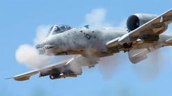 A-10 "Lợn Lòi" tuy đã 40 tuổi nhưng vẫn được lưỡng viện Quốc hội Mỹ ưu ái ủng hộ (Ảnh: USAirforce).