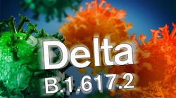 Biến chủng Delta đang lây lan khắp thế giới gây nên làn sóng dịch mới tại nhiều quốc gia (Ảnh: sohu).