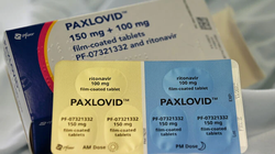 Thuốc viên điều trị COVID-19 Paxlovid hiện trở thành món quà biếu Tết giá trị ở Trung Quốc (Ảnh: Zhihu).