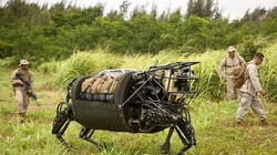 Robot "Big Dog" được quân đội Mỹ sử dụng đển vận chuyển vật tư, vũ khí trên nhiều loại địa hình (Ảnh" Toutiao).