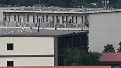 Các thiết bị ăng-ten Starlink nhiều như nấm trên mái nhà khu "KK Park" ở biên giới Myanmar - Thái Lan. Ảnh: AFP.