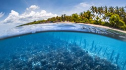 Nuôi trồng rong biển giảm khí thải nhà kính, đảm bảo an ninh lương thực. Ảnh E&T