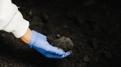 Khoáng sản chứa kết tủa hydroxit hỗn hợp (MPH). Ảnh Nth Cycle.