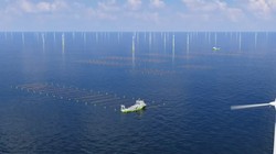 Đồ họa mô phỏng trang trại rong biển - điện gió ngoài khơi xa. Ảnh Electrek