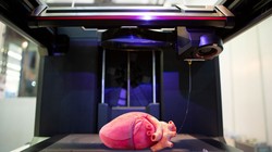 Một quả tim mô phỏng tim người được in 3D. Ảnh Engineering Interesting.