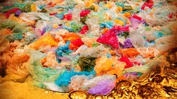 Rác thải nhựa mật độ thấp sử dụng 1 lần. Ảnh Melanie Hess-Robinson/Phòng thí nghiệm quốc gia Tây Bắc Thái Bình Dương