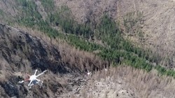 Mast Reforestation cung cấp dịch vụ gieo hạt trên không, nhưng UAV chỉ là một phần trong hoạt động kinh doanh “trồng rừng như một dịch vụ”. Ảnh CNBC