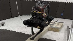 Robot bốn chân có thể đi trên một cầu thăng bằng hẹp. Ảnh Đại học Carnegie Mellon