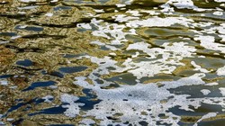 Nước thải là môi trường làm gia tăng các loại vi khuẩn kháng kháng sinh. Ảnh minh họa SciTech Daily