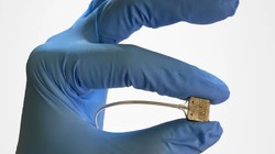 Mô đun chip cấy ghép trên vỏ não của Paradromics. Ảnh Paradromics