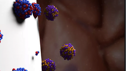 Xạ trị bằng hạt Alpha DaRT tiêu diệt tế bào ung thư. Ảnh Courtesy