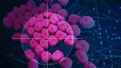 Vi khuẩn Acinetobacter baumannii gây nhiễm trùng kháng kháng sinh bệnh viện. Ảnh Christine Daniloff/MIT