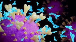 Các kháng thể trung hòa, được mô tả bằng màu xanh lam nhạt chống virus SARS-CoV-2 trong mẫu máu. Ảnh: iStock