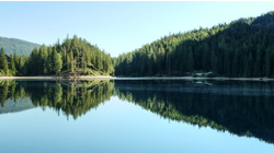 Ảnh: TRG International