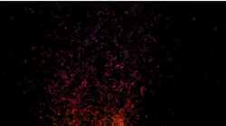 Ảnh: The New York Times