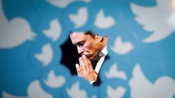 Ảnh: Business Insider