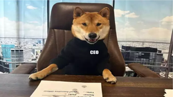 Ảnh: Business Insider