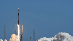 Ảnh: Business Insider