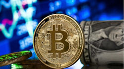 Đồng Bitcoin (Ảnh: Pinterest)