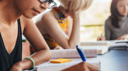 Ảnh: Business Insider