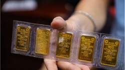 Giá vàng hôm nay.