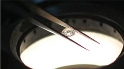 Tin nóng công nghệ hôm nay. 