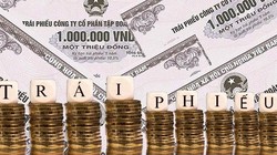 2 công ty con từng thuộc Vinhomes huy động gần 5.400 tỷ đồng trái phiếu. Ảnh minh họa