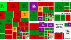 VN-Index giữ nhịp xanh, cổ phiếu PDR, KBC tím trần