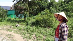 Dự thảo Nghị quyết mới về thu tiền sử dụng đất khi chuyển đất vườn, đất nông nghiệp sang đất ở được kỳ vọng giảm gánh nặng tài chính cho người dân.