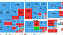Cổ phiếu nhóm tài chính, bất động sản giảm sàn la liệt. Nguồn: Vietstock
