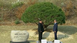 Ảnh minh họa: AP