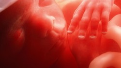 Ảnh minh họa: CNET